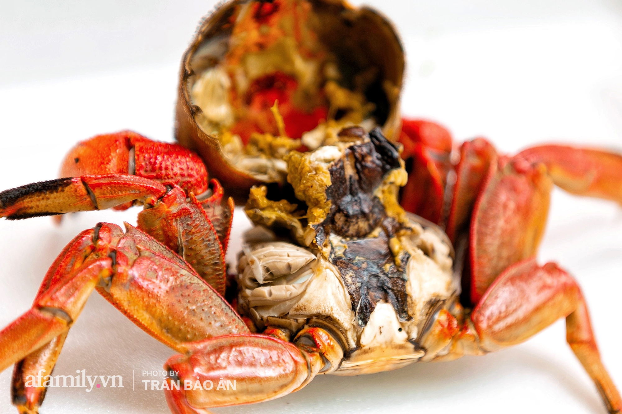  Mâm ba khía Cà Mau hấp giúp bà chủ mỗi tháng kiếm nhẹ nhàng 400 triệu dù trong mùa dịch, cả Sài Gòn tìm đỏ con mắt cũng khó có mâm thứ hai  - Ảnh 6.