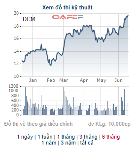 Đạm Cà Mau (DCM) dự chi hơn 420 tỷ đồng trả cổ tức, giá cổ phiếu tăng 44% kể từ đầu năm - Ảnh 2.