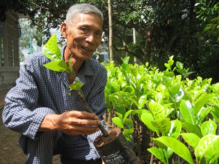 Ăn mít mà không phải tách hạt, bác nông dân Cần Thơ thu tiền tỷ từ loại mít kỳ lạ này - Ảnh 3.