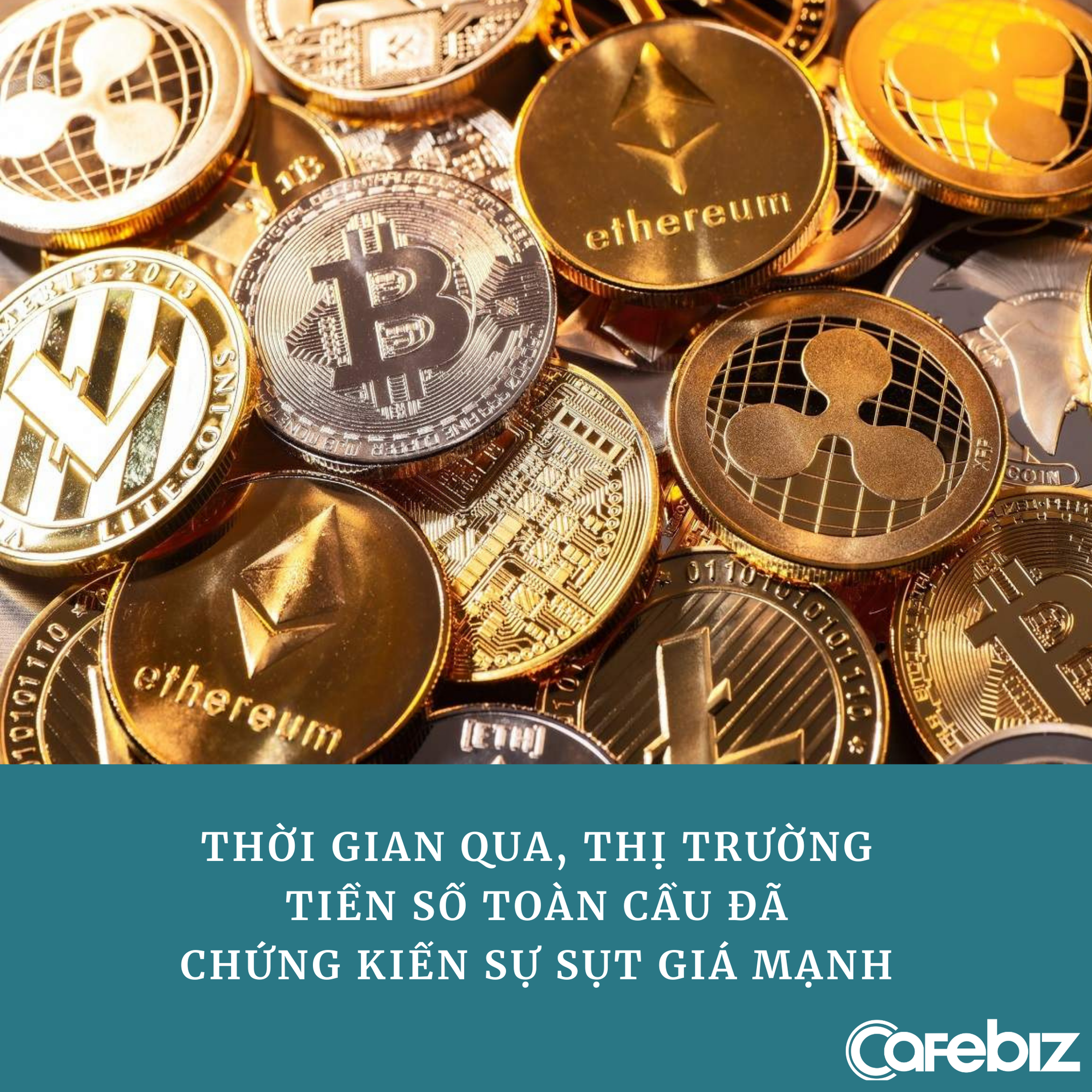 Cha đẻ Dogecoin khoe chỉ lời được 3% khi mua đồng tiền số do mình tạo ra