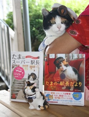 Chỉ nhờ một cô mèo hoang, công ty Nhật Bản lãi to 280 tỷ, thoát khỏi cảnh phá sản trong gang tấc - Ảnh 12.