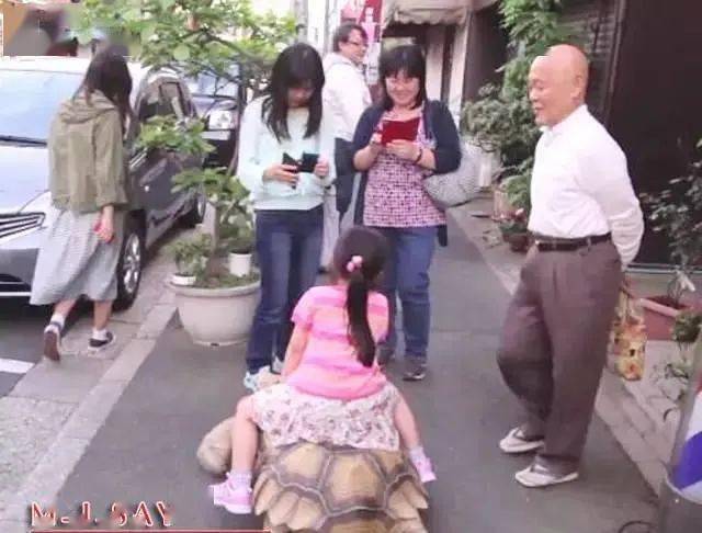 Ông lão người Nhật nuôi con rùa nặng 70kg, quãng đường 5 phút đi mất 3 tiếng: Sống chậm lại, cuộc đời quả thực đáng yêu hơn bạn nghĩ - Ảnh 16.