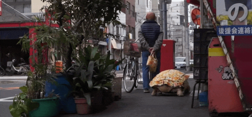Ông lão người Nhật nuôi con rùa nặng 70kg, quãng đường 5 phút đi mất 3 tiếng: Sống chậm lại, cuộc đời quả thực đáng yêu hơn bạn nghĩ - Ảnh 22.