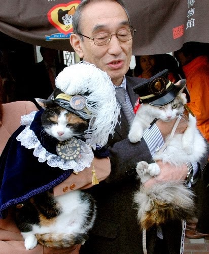 Chỉ nhờ một cô mèo hoang, công ty Nhật Bản lãi to 280 tỷ, thoát khỏi cảnh phá sản trong gang tấc - Ảnh 5.