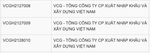 Vinaconex vừa huy động 2.200 tỷ trái phiếu để rót vào dự án Cát Bà Amatina - Ảnh 2.