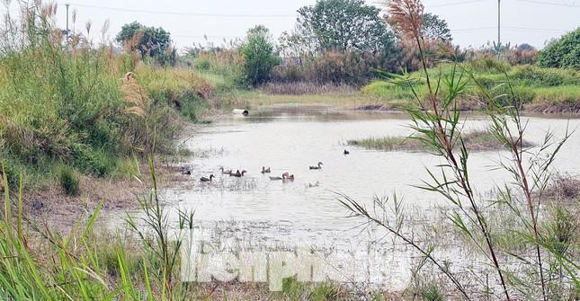  Điểm mặt các khu biệt thự triệu đô bỏ hoang ở Hà Nội trước đề xuất đánh thuế  - Ảnh 15.