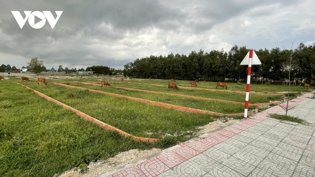  Mất kiểm soát tình trạng phân lô, bán nền trên đất nông nghiệp ở Bà Rịa – Vũng Tàu  - Ảnh 2.