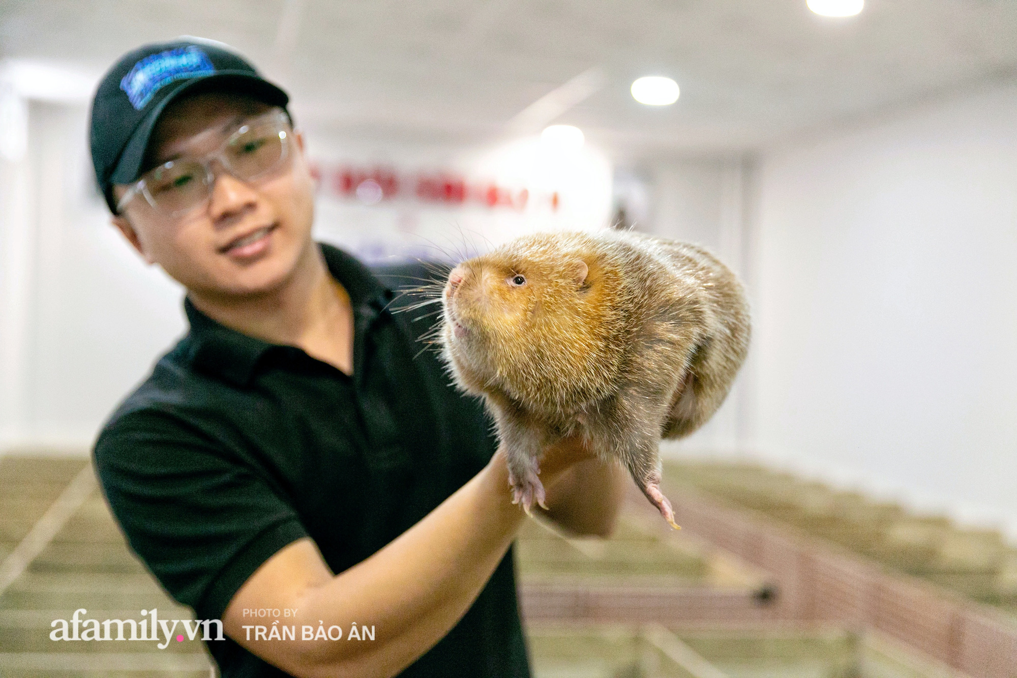 9x Phú Thọ lãi cả trăm triệu mỗi năm nhờ nuôi giống chuột khổng lồ