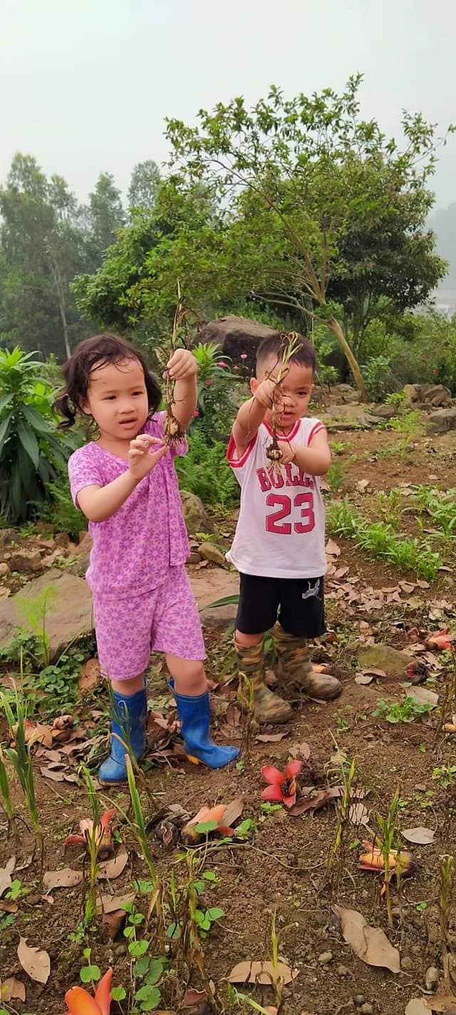 3 ngôi trường liên cấp đặc biệt ở Hà Nội - nơi trẻ được vẫy vùng giữa thiên nhiên, thoát khỏi gánh nặng điểm số: Hạnh phúc là tiêu chí giáo dục quan trọng nhất! - Ảnh 4. 3 ngôi trường liên cấp đặc biệt ở Hà Nội - nơi trẻ được vẫy vùng giữa thiên nhiên, thoát khỏi gánh nặng điểm số: Hạnh phúc là tiêu chí giáo dục quan trọng nhất! - Ảnh 4.