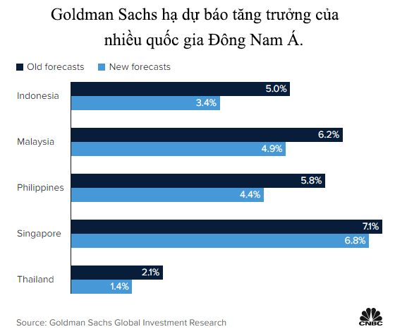 Goldman Sachs: Biến thể Delta là làn gió ngược với tăng trưởng của nhiều quốc gia Đông Nam Á - Ảnh 1.