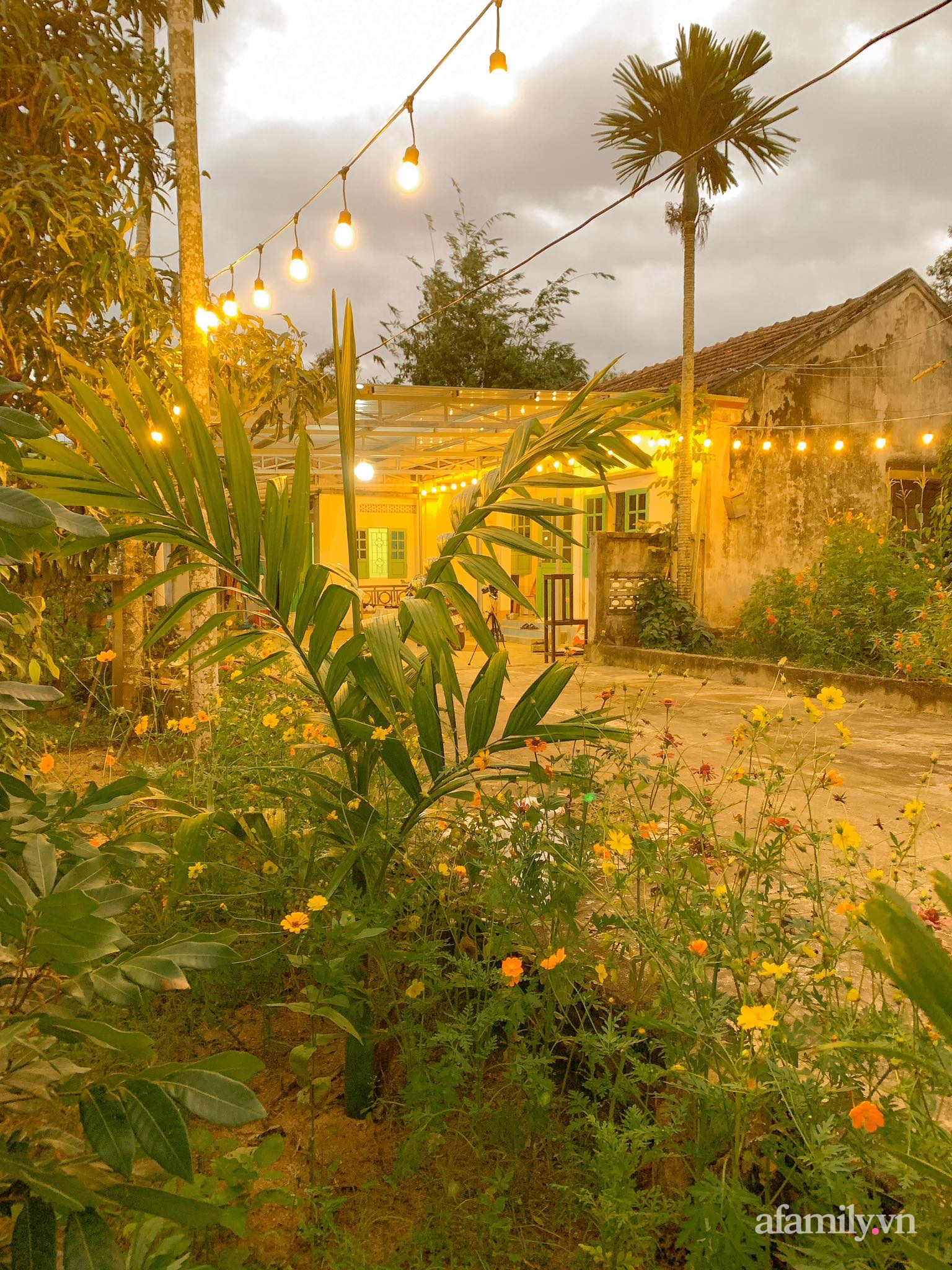 Cuộc sống yên bình bên khu vườn 2000m² sau hai năm bỏ phố về quê của cặp vợ chồng 9X - Ảnh 13.