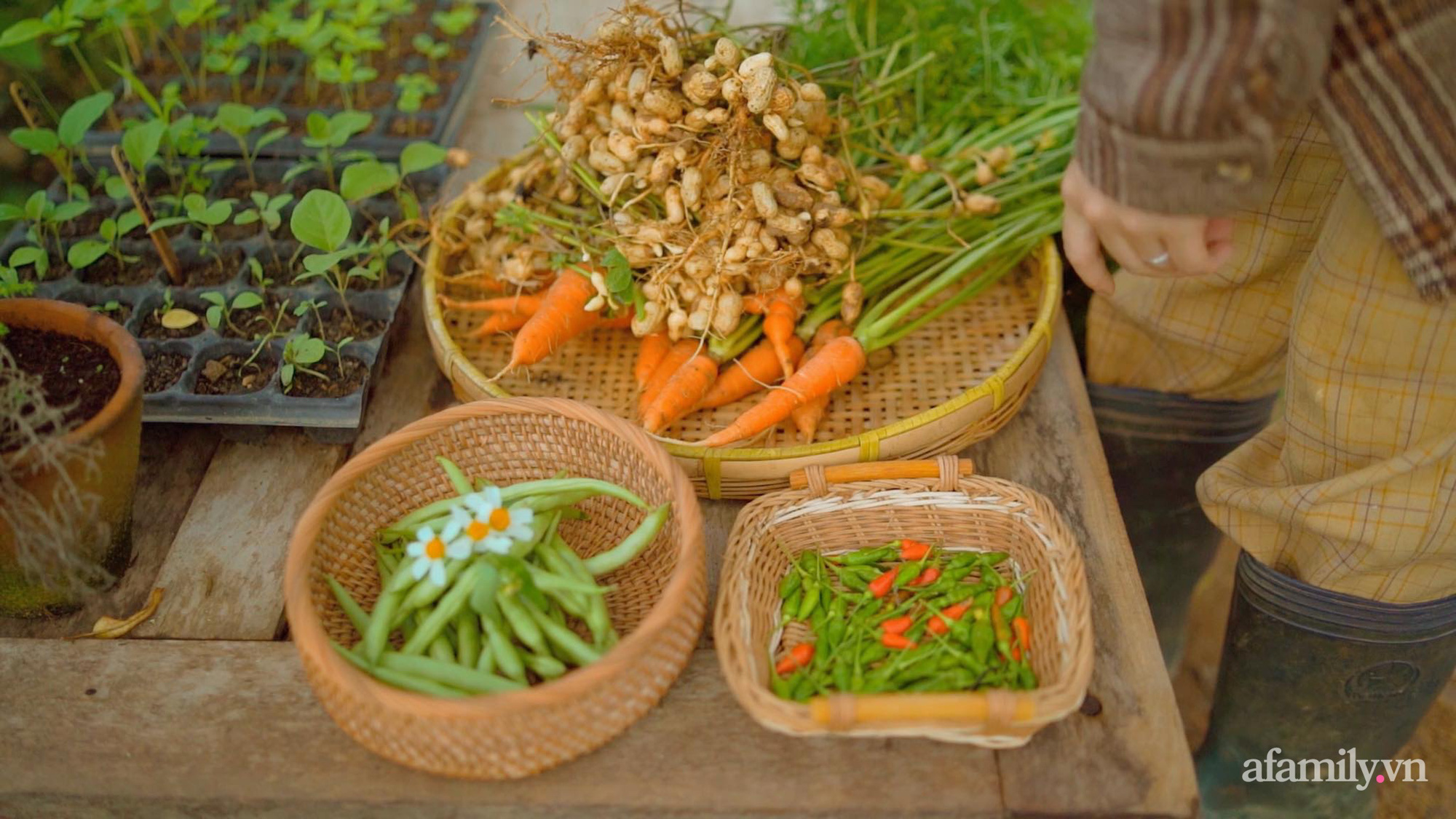 Cuộc sống yên bình bên khu vườn 2000m² sau hai năm bỏ phố về quê của cặp vợ chồng 9X - Ảnh 5.