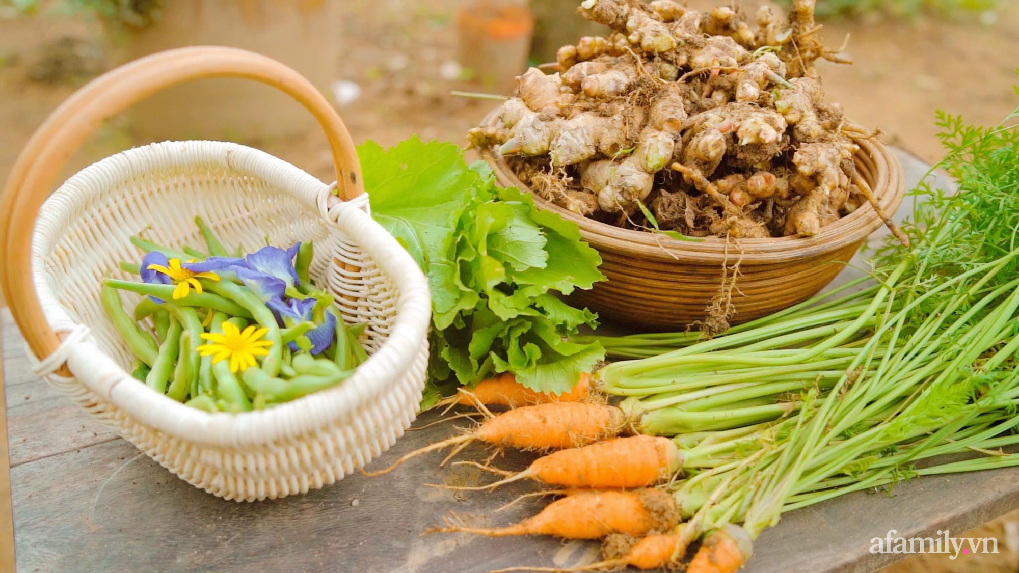 Cuộc sống yên bình bên khu vườn 2000m² sau hai năm bỏ phố về quê của cặp vợ chồng 9X - Ảnh 6.