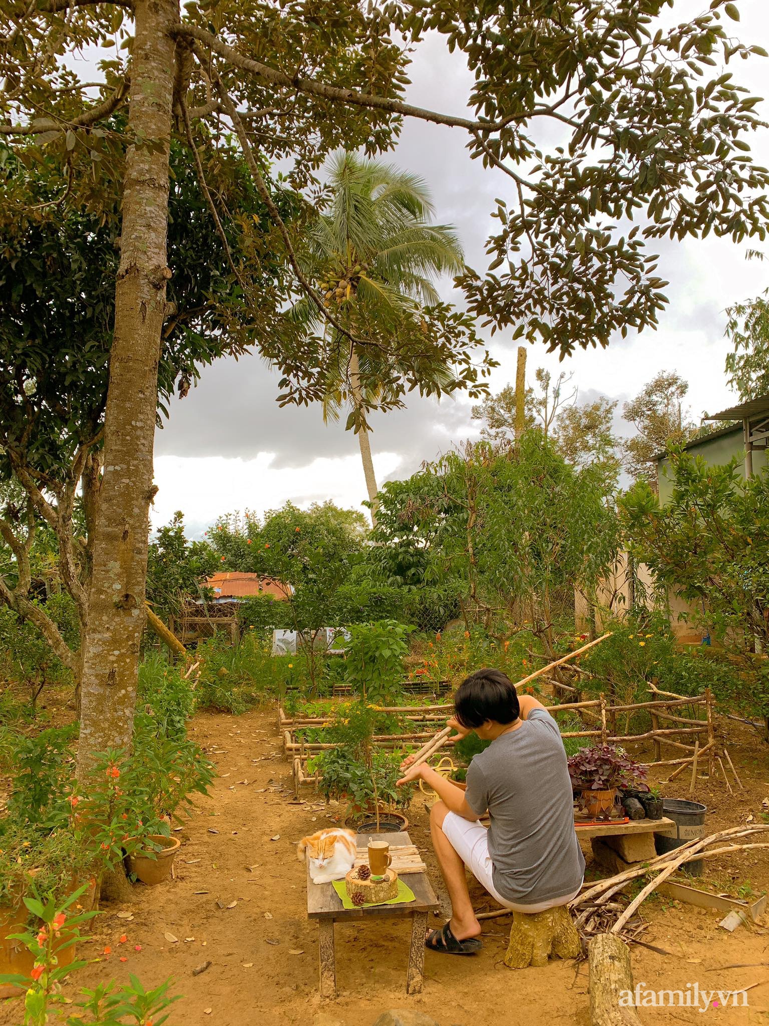 Cuộc sống yên bình bên khu vườn 2000m² sau hai năm bỏ phố về quê của cặp vợ chồng 9X - Ảnh 8.