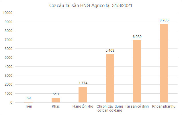 Thế khó của HAGL Agrico khi Thagrico dừng rót vốn thêm - Ảnh 1.