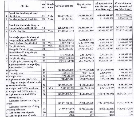 Gánh nặng chi phí tài chính và chi phí bán hàng, Tasco (HUT) báo lỗ 49 tỷ đồng quý 2 - Ảnh 1.