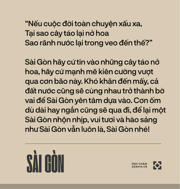  Sài Gòn đã luôn hào phóng tình yêu thương, và giờ là lúc để cả đất nước chìa vai cho Sài Gòn dựa vào khi trở bệnh - Ảnh 3.