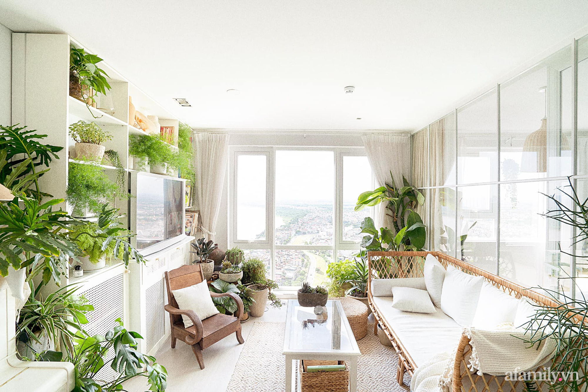 Hơn 100 mẫu cây xanh nội thất Trang trí cho không gian sống đẹp và xanh mát hơn