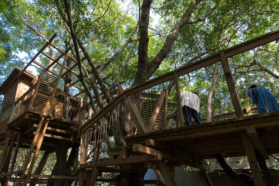 24 gia đình bỏ phố về quê, mua chung mảnh đất 8.000m2 để xây dựng tiên cảnh trần gian: Cuộc sống 10 năm khiến ai ai cũng ngỡ ngàng - Ảnh 18. 24 gia đình bỏ phố về quê, mua chung mảnh đất 8.000m2 để xây dựng tiên cảnh trần gian: Cuộc sống 10 năm khiến ai ai cũng ngỡ ngàng - Ảnh 18.