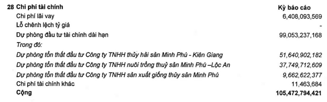 Dự phòng tổn thất đầu tư ở mức cao, quý 2 công ty mẹ Minh Phú (MPC) lãi 76 tỷ đồng, giảm 28% so với cùng kỳ 2020 - Ảnh 1. Dự phòng tổn thất đầu tư ở mức cao, quý 2 công ty mẹ Minh Phú (MPC) lãi 76 tỷ đồng, giảm 28% so với cùng kỳ 2020 - Ảnh 1.