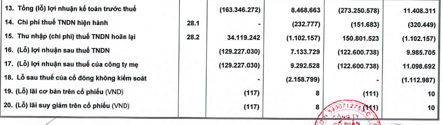 HAGL Agrico (HNG): Nửa đầu năm lỗ ròng 123 tỷ đồng, dư nợ tại Thaco chiếm đến 47% tổng tài sản với 7.359 tỷ đồng - Ảnh 2.