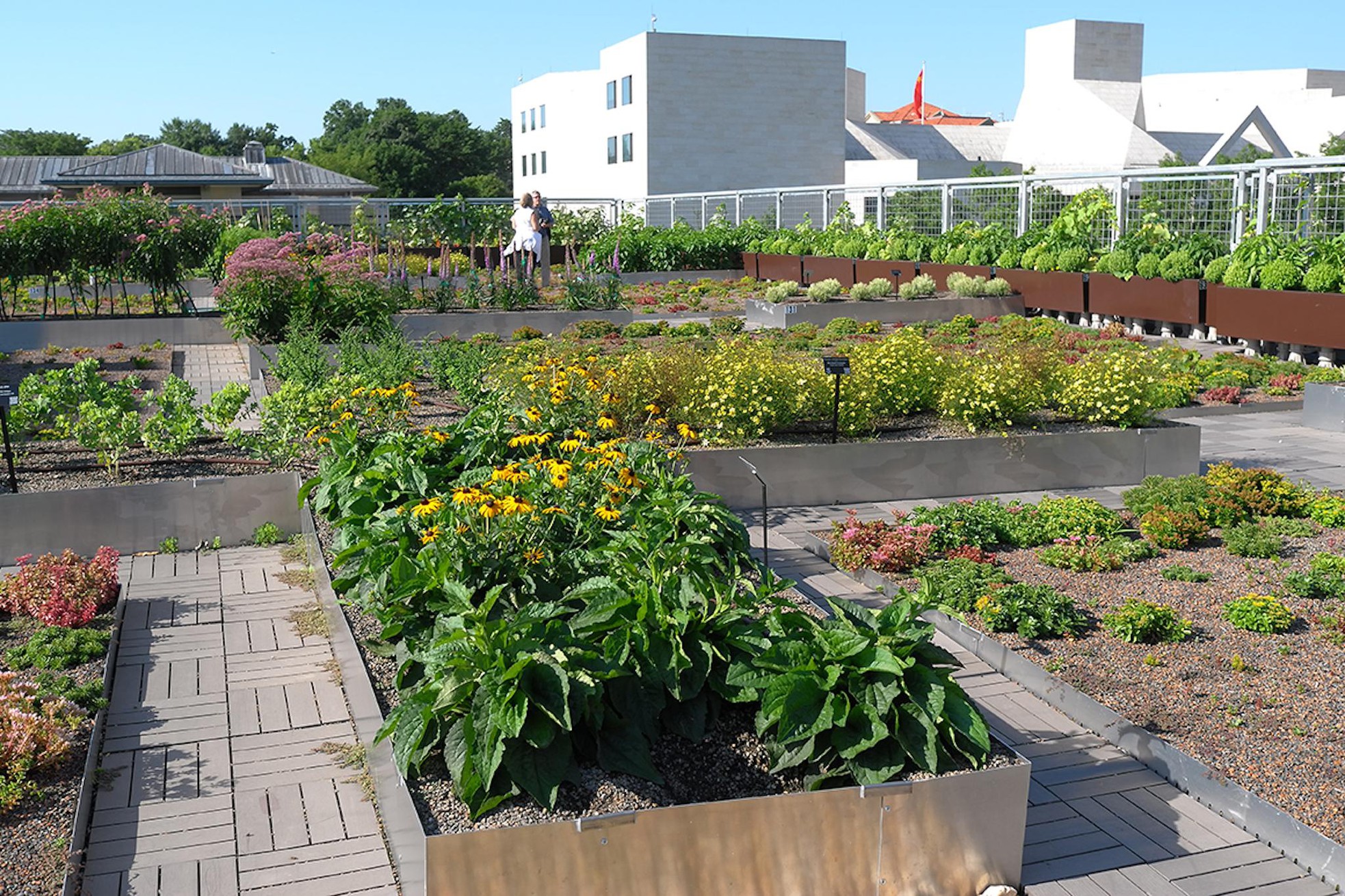 Khám phá 5 mô hình trồng rau trên sân thượng dễ áp dụng nhất hiện nay