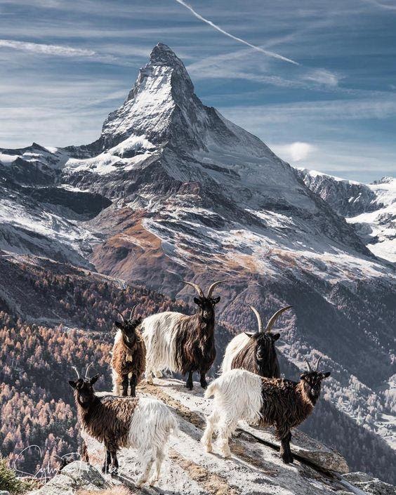 Đất nước Thụy Sĩ đẹp mê hồn với những khung hình nên thơ như cổ tích: Giấc mơ của biết bao tín đồ du lịch, một lần đặt chân đến cũng thỏa lòng - Ảnh 1.