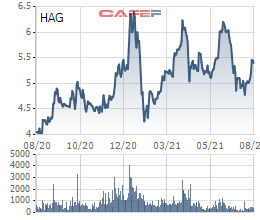 HAGL lấy ý kiến cổ đông về việc dùng thặng dư vốn cổ phần để xử lý lỗ lũy kế - Ảnh 2.