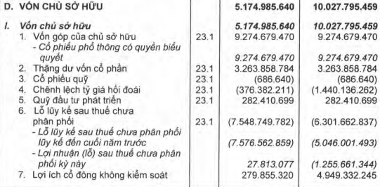 HAGL lấy ý kiến cổ đông về việc dùng thặng dư vốn cổ phần để xử lý lỗ lũy kế - Ảnh 1.