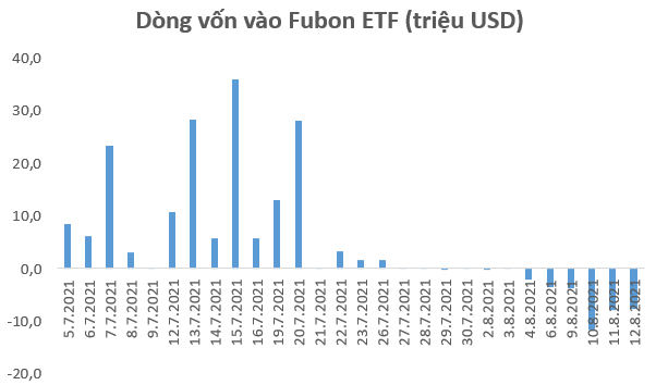 Fubon FTSE Vietnam ETF nộp đơn xin tăng quy mô đầu tư thêm 180 triệu USD - Ảnh 1.