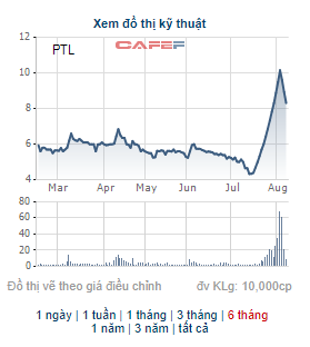 Hai nhà đầu tư bán hết toàn bộ 11 triệu cổ phiếu PTL, không còn là cổ đông lớn của Petroland - Ảnh 1.