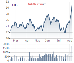 DIC Corp (DIG): Thị giá tăng mạnh, một cổ đông lớn bán ra hơn 5,5 triệu cổ phần - Ảnh 1.