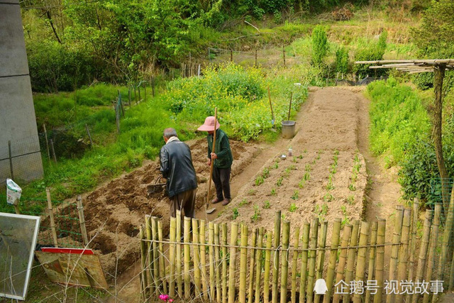 Thanh xuân sống một đời vương giả lấp lánh ánh đèn thành thị, đến khi có tuổi chọn bỏ phố về quê - Ảnh 5.