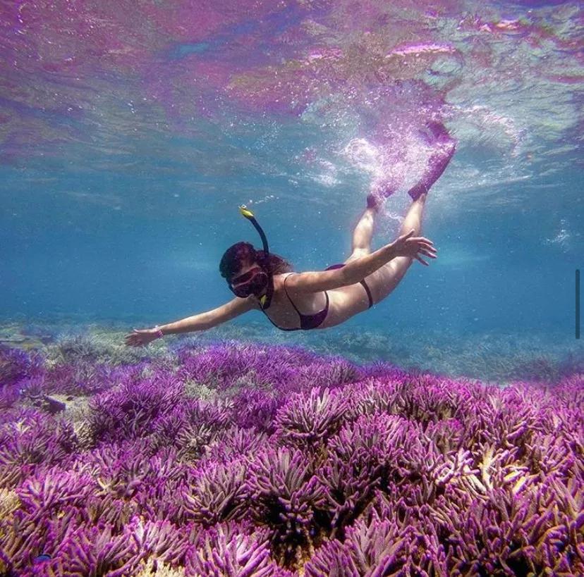 Đắm mình trong vẻ đẹp non nước của Quốc đảo không ung thư Fiji: một thiên đường khác trên Trái Đất sau Maldives - Ảnh 6. Đắm mình trong vẻ đẹp non nước của Quốc đảo không ung thư Fiji: một thiên đường khác trên Trái Đất sau Maldives - Ảnh 6.