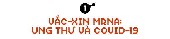 Sau COVID-19, công nghệ vắc-xin mRNA sẽ giúp chúng ta chữa khỏi bệnh ung thư - Ảnh 2.