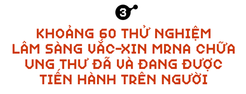 Sau COVID-19, công nghệ vắc-xin mRNA sẽ giúp chúng ta chữa khỏi bệnh ung thư - Ảnh 6.