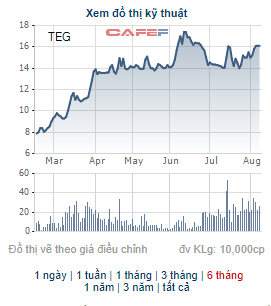 TEG Group (TEG) phát hành hơn 23 triệu cổ phiếu trả cổ tức và chào bán cho cổ đông hiện hữu - Ảnh 1.