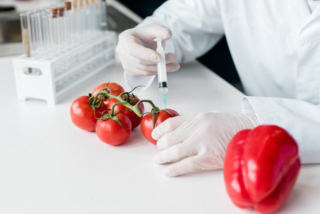 Nhận biết thực phẩm biến đổi gen qua các dấu hiệu nào? - Ảnh 1.