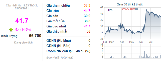 IPA Group lãi đột biến hơn 1.150 tỷ trong quý 2 nhờ thoái vốn khỏi Hòn Ngọc Á Châu - Ảnh 5. IPA Group lãi đột biến hơn 1.150 tỷ trong quý 2 nhờ thoái vốn khỏi Hòn Ngọc Á Châu - Ảnh 5.