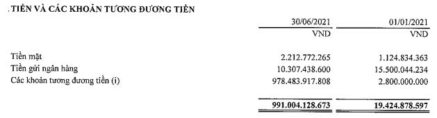 IPA Group lãi đột biến hơn 1.150 tỷ trong quý 2 nhờ thoái vốn khỏi Hòn Ngọc Á Châu - Ảnh 4.