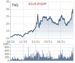 TNG sắp phát hành gần 6,4 triệu cổ phiếu trả cổ tức năm 2021 với tỷ lệ 8% - Ảnh 1.