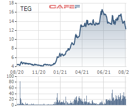 Đầu tư Mernus chính thức trở thành cổ đông lớn TEG Group sau khi mua hơn 6 triệu cổ phiếu TEG - Ảnh 1.