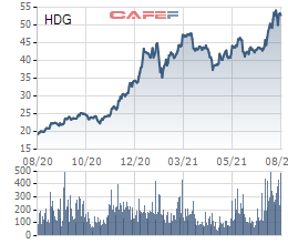 Lộ diện nhà đầu tư cá nhân nắm giữ lượng cổ phiếu HDG, GIL có giá trị gần 800 tỷ đồng - Ảnh 2.
