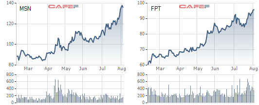 Nắm giữ FPT và MSN, hiệu suất danh mục Tundra Fund tăng trưởng vượt trội trong tháng 7 - Ảnh 1.
