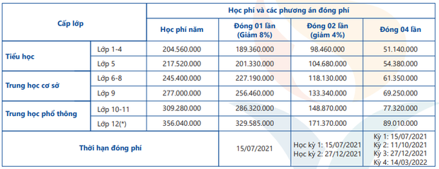 Một trường quốc tế ở TP.HCM tăng học phí 101 triệu, chạm mốc 667 triệu/năm - Ảnh 4.