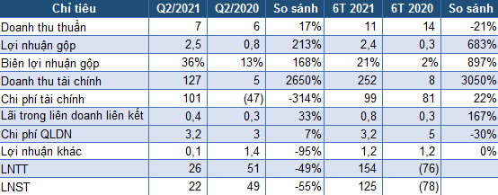 Lãi lớn nhờ kinh doanh chứng khoán, MHC lãi 6 tháng vượt 54% kế hoạch năm - Ảnh 2.