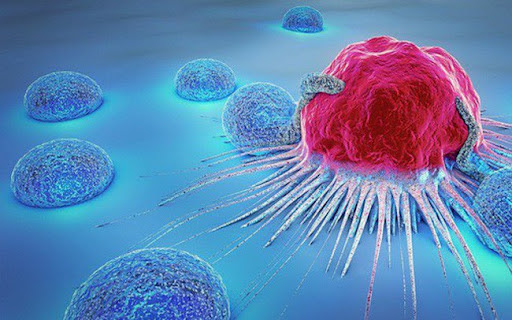 Bất cứ ai cũng có tế bào ung thư trong cơ thể: 4 nguyên tắc vàng có thể chặn đứng sự hình thành của tế bào tử thần hiệu quả - Ảnh 1.