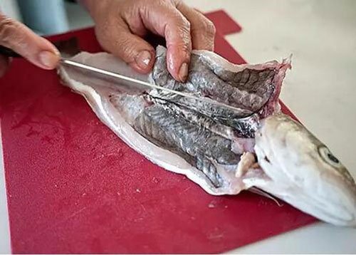 Mua cá về ăn nên thận trọng loại bỏ 4 bộ phận cực độc này, nhiều người thích nhưng nó còn nguy hiểm hơn cả bệnh ung thư - Ảnh 4.