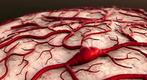 Người có mạch máu khỏe mạnh thường không làm 5 việc này, nếu bạn cũng giống họ thì có thể phòng được nhiều bệnh - Ảnh 1.