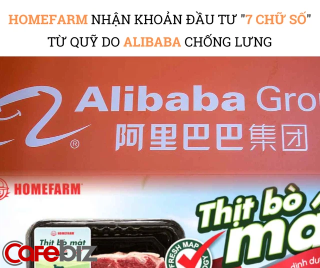 CEO Homefarm kể về cơ duyên với quỹ Alibaba, chia sẻ bí quyết giúp gọi vốn thành công trong mùa dịch - Ảnh 1.